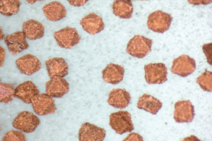 Cu Coated Diamond Powder