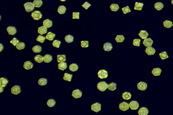 ETCD – Etched Thermal Conductive Diamond