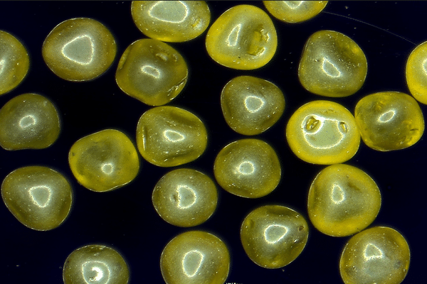 STCD – Spherical Thermal Conductive Diamond