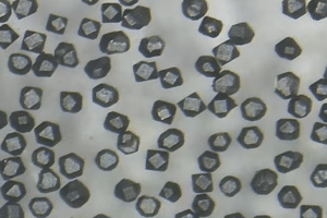 W Coated Diamond Powder