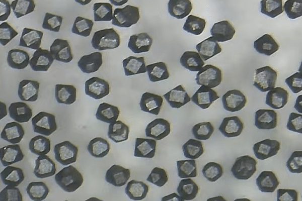 W Coated Diamond Powder