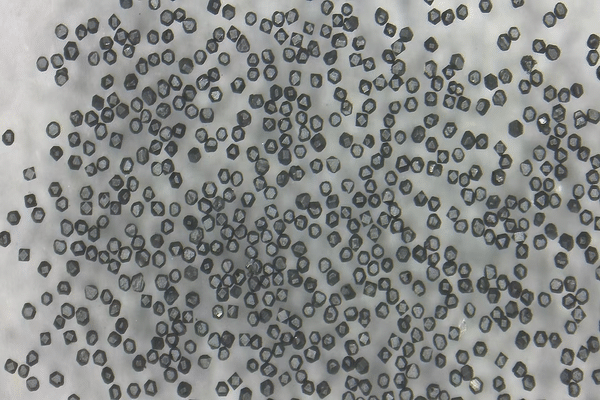 W Coated Diamond Powder