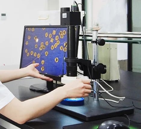 Morphology Analyzer / CAMSIZER