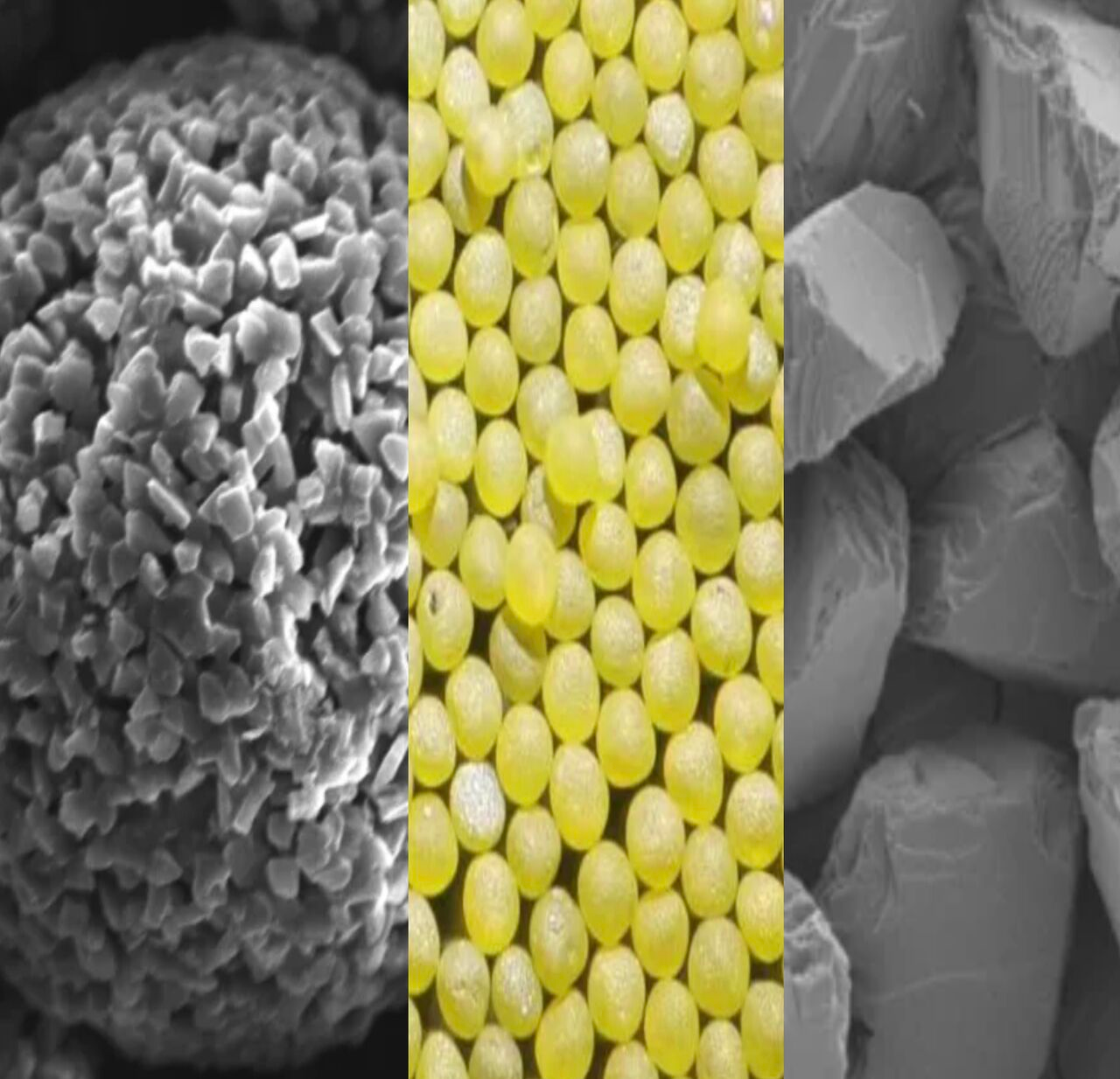 powdertypes